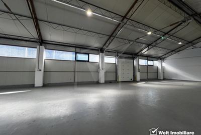 Depozit 484mp, zona industriala Someseni Aeroport - 8