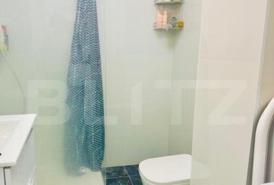 Apartament cu 3 camere decomandat, mobilat în Nufărul - 10