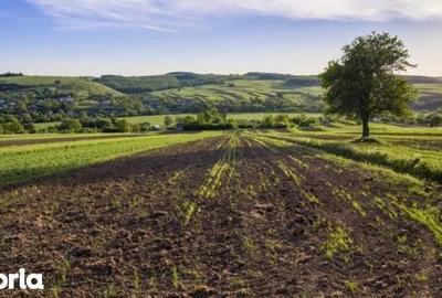 Teren de 1002 mp, în Central