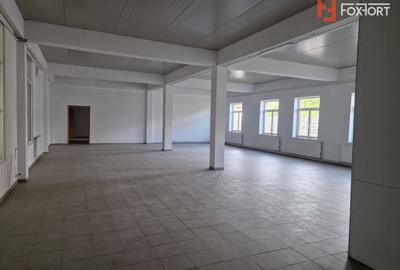 Spațiu comercial, de 603 mp, în Mehala - 7