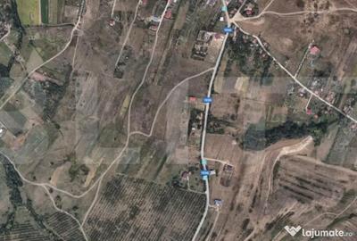 Teren de 16969 mp, în Borhanci