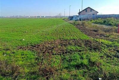 Teren extravilan 3759mp / fs 82ml / Otopeni / Drumul Garii - 2