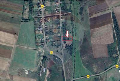 Teren Construcții intravilan de 3916 mp, în Herneacova - 3