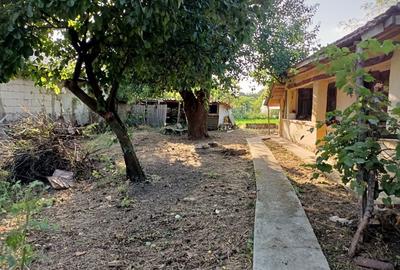Casă cu 2 camere cu Teren 1000 Mp în Nuci - 6