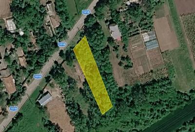 Teren de 900 mp, în Nuci - 7