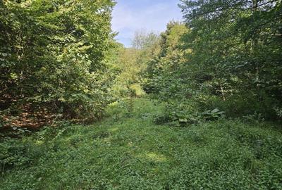 Spațiu comercial, în Central - 3