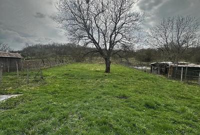 Casă cu 2 camere cu Teren 2700 Mp în Mica - 6