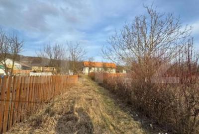 Casă cu 3 camere cu Teren 1000 Mp în Schitu Duca - 4