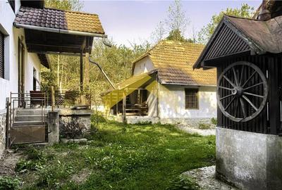 Casă individuală cu 6 camere în Săvârșin - 18
