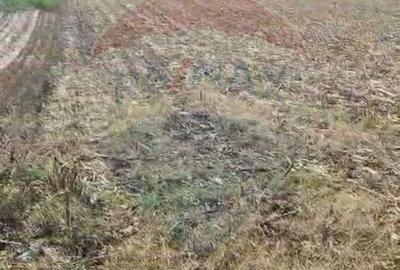 Teren de 5000 mp, în Tântava - 2