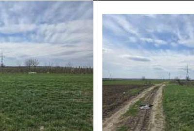 Teren de 2500 mp, în Greaca - 3