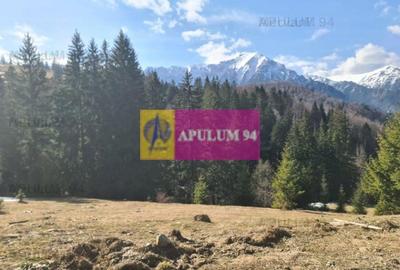 Teren de vânzare în Predeal - Zona Forban - 6