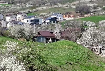 Teren Construcții extravilan de 20000 mp, în Șorogari - 8