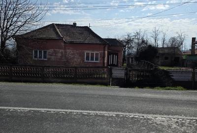 Casă cu Teren 2800 Mp în Totești - 7