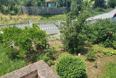 Proprietar vand casa in sat Buicesti, comuna Butoiesti, jud. Mehedinti - 10