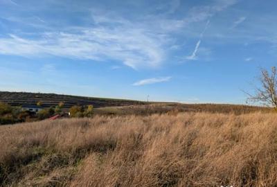 Teren de 1835 mp, în Pielești - 8