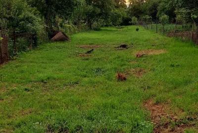 Teren de 1000 mp, în Iezureni - 3