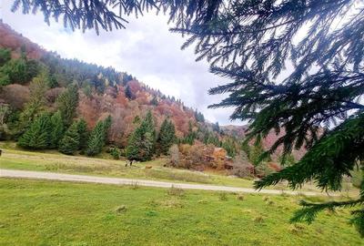 Teren intravilan panoramic 4.600mp,view iconic Piatra Craiului,oportunitate prem - 6