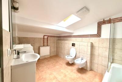 Duplex cu 4 camere cu Canalizare în Borhanci - 19