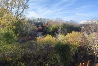 Casa 5 Camere Otopeni | Zona Linistita | Semicentral | Mansarda - 11