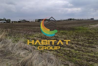 Teren Intravilan cu Utilitati | Rate Direct la Dezvoltator - 6