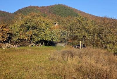 Teren Construcții intravilan de 6874 mp, în Alexandru cel Bun - 12