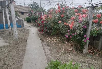 Casa in satul Zebil cu vedere superba spre lacul Babadag - 17