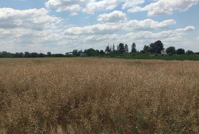 Clinceni- Colectorul de Apa - 2