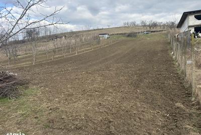 Teren de 1724 mp, în Popricani - 3