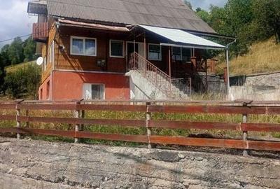 Teren de 10000 mp, în Albac - 3