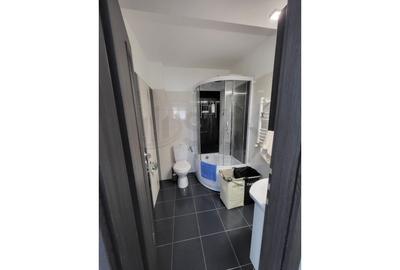 Apartament cu 3 camere semidecomandat, mobilat în Ozana - 9