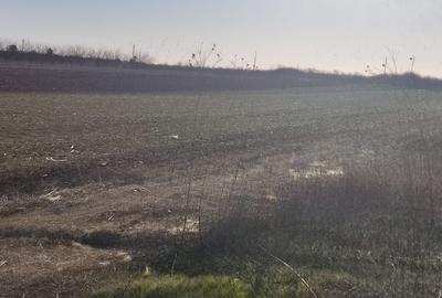 Teren Construcții intravilan de 830 mp, în Mogoșești - 2