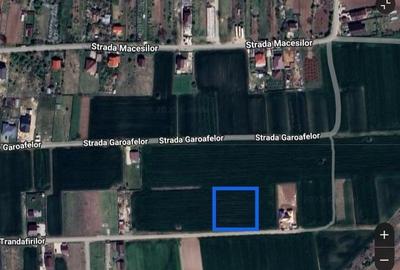 Teren Construcții intravilan de 3000 mp, în Moara Vlăsiei