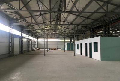 HALA NOUA DEPOZITARE/PRODUCTIE USOARA ZONA TRACTORUL - 2