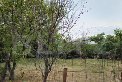 Teren extravilan 17524 mp, expunere sudica, Viforata - 33