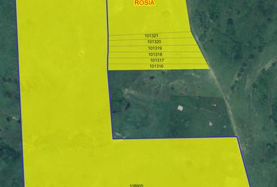 Teren agricol extravilan de vânzare – 67.500 mp – Dealul Daii, Sibiu - 7