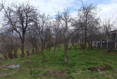 Casă cu 3 camere în Văcarea - 2