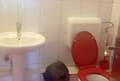 Apartament cu 2 camere decomandat, mobilat în Pantelimon - 6