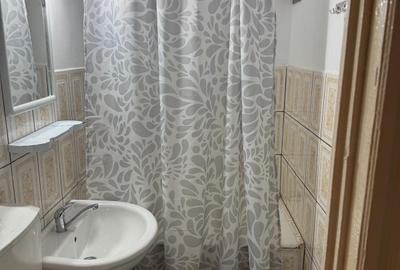 Apartament  2 Camere, 55 MP, Parter+ Curte, Zona Parc Caporal Musat - 2