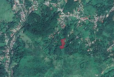 Teren de 6376 mp, în Valea Târsei - 5
