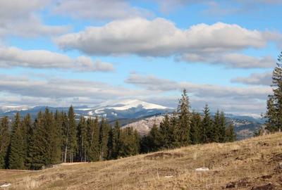 Spațiu comercial, în Panaci - 2