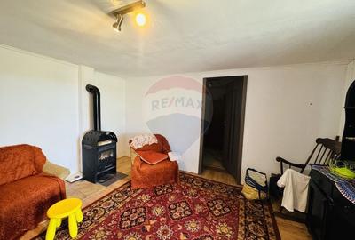 Teren Construcții intravilan de 6210 mp, în Apateu - 13