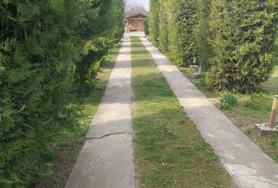 Casă cu Teren 1000 Mp în Mircea Vodă - 3