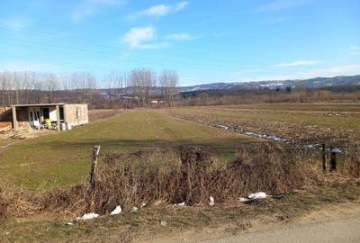 Teren de 2500 mp, în Mihăești - 2