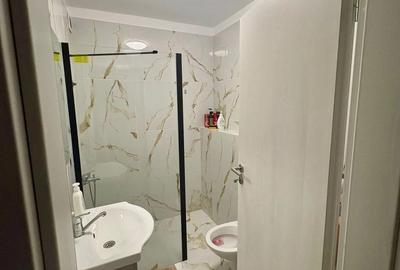 Apartament 2 camere, Remetea Mare, direct proprietar, disponibil imediat - 3