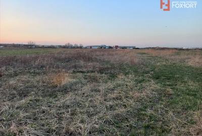 Teren Construcții intravilan de 4464 mp, în Ghiroda - 2