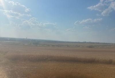 Teren Construcții intravilan de 500 mp, în Malu Mare - 6