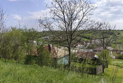 Casă cu 3 camere cu Teren 10300 Mp în Ghercești - 1