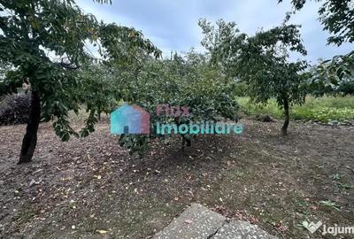Casă cu 3 camere cu Teren 1410 Mp în Dumbrăveni - 8
