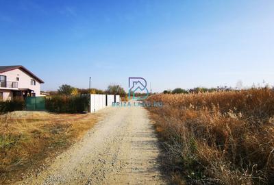 Domnesti, Teghes, teren la padure, str. Argesului, sup. 5000mp, d=40m - 4